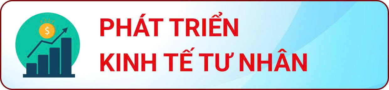 Báo cáo thống kê