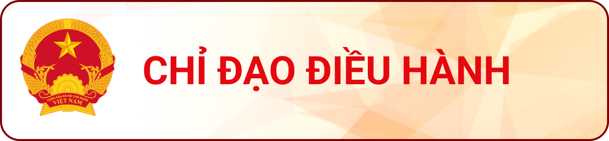 Chỉ đạo điều hành